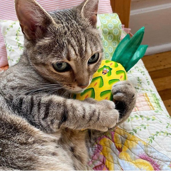 Pineapple cat hot sale toy